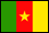 Cameroun flag