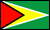 Guyana flag