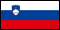 Slovénie flag